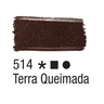 Terra Queimada 514